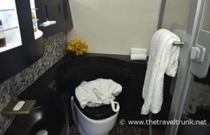 Shower room and toilet