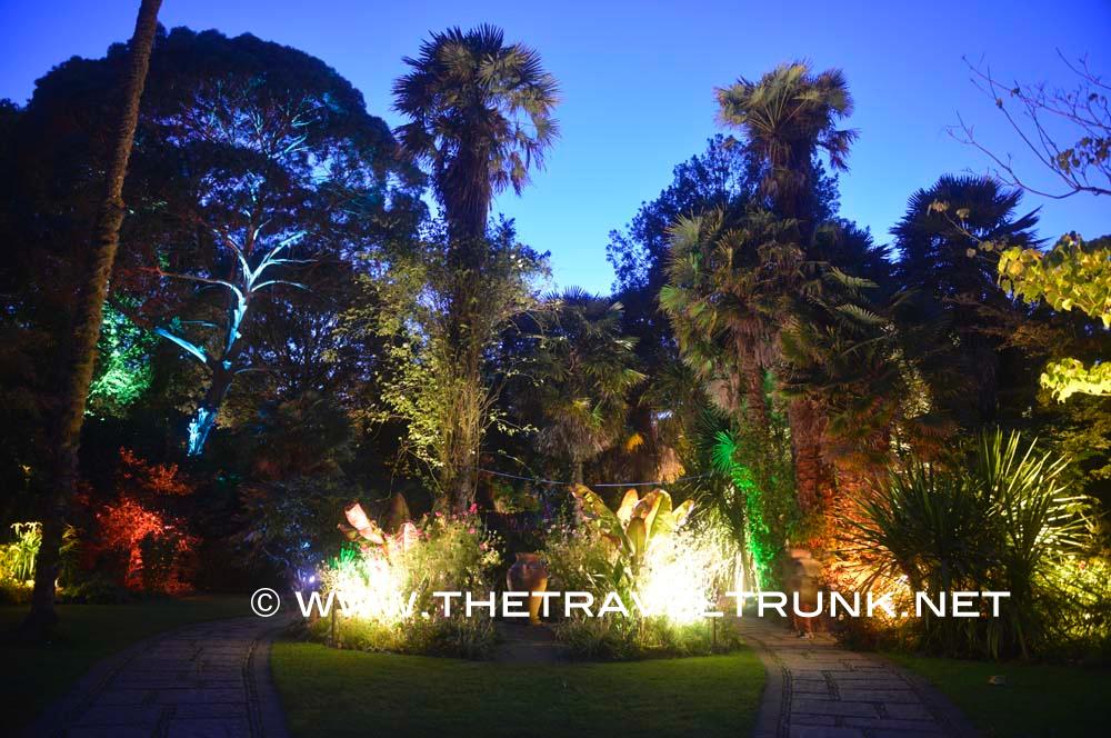 Martin Clunes lights up garden