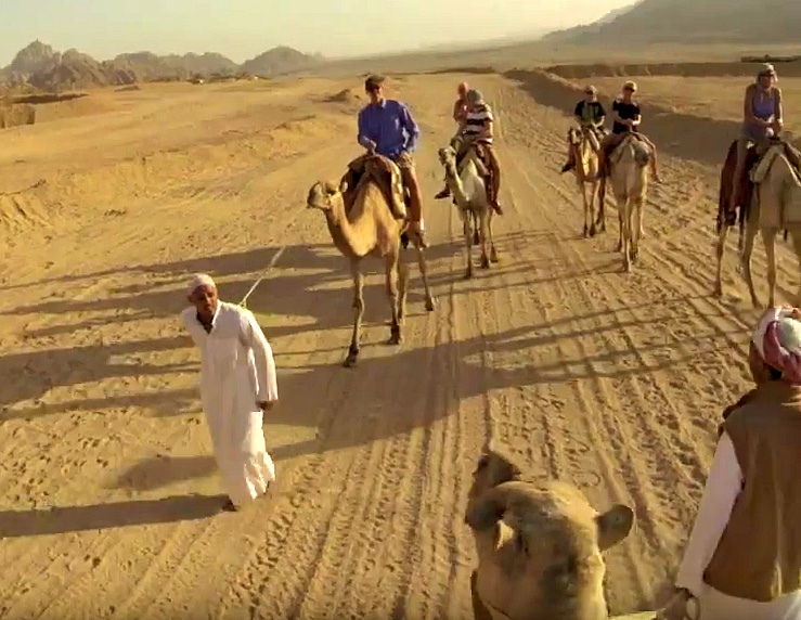 Sharm El Sheikh camel ride