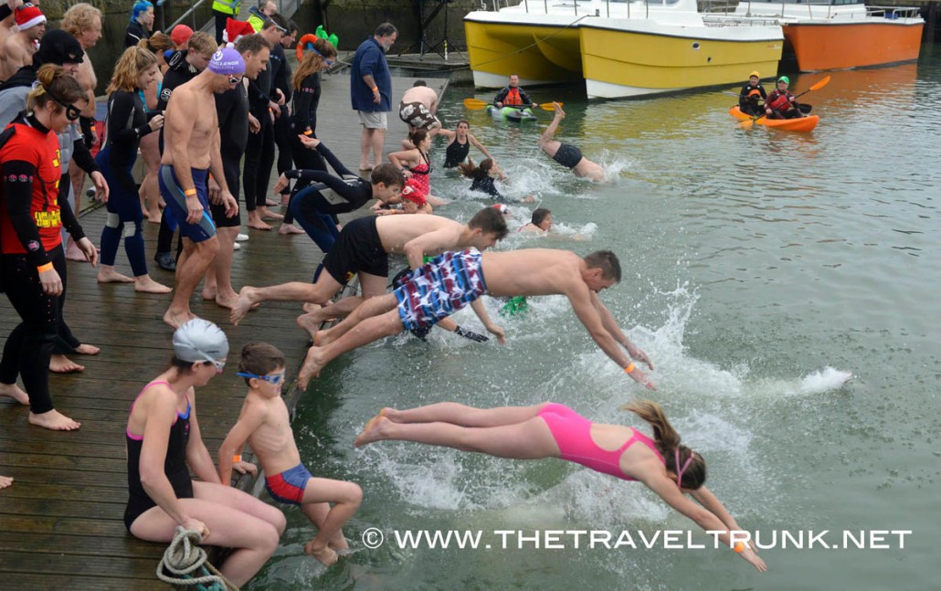 harbour swim
