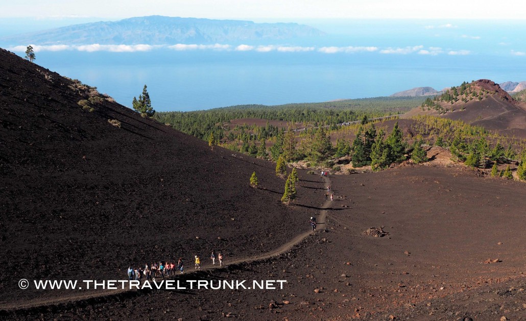 Trekking in Tenerife