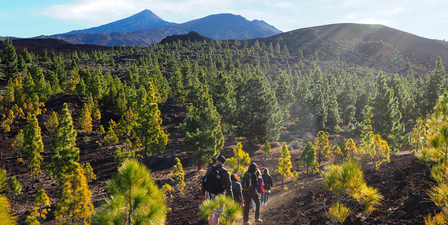 Trekking In Tenerife