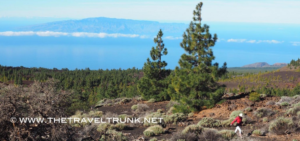 Trekking in Tenerife