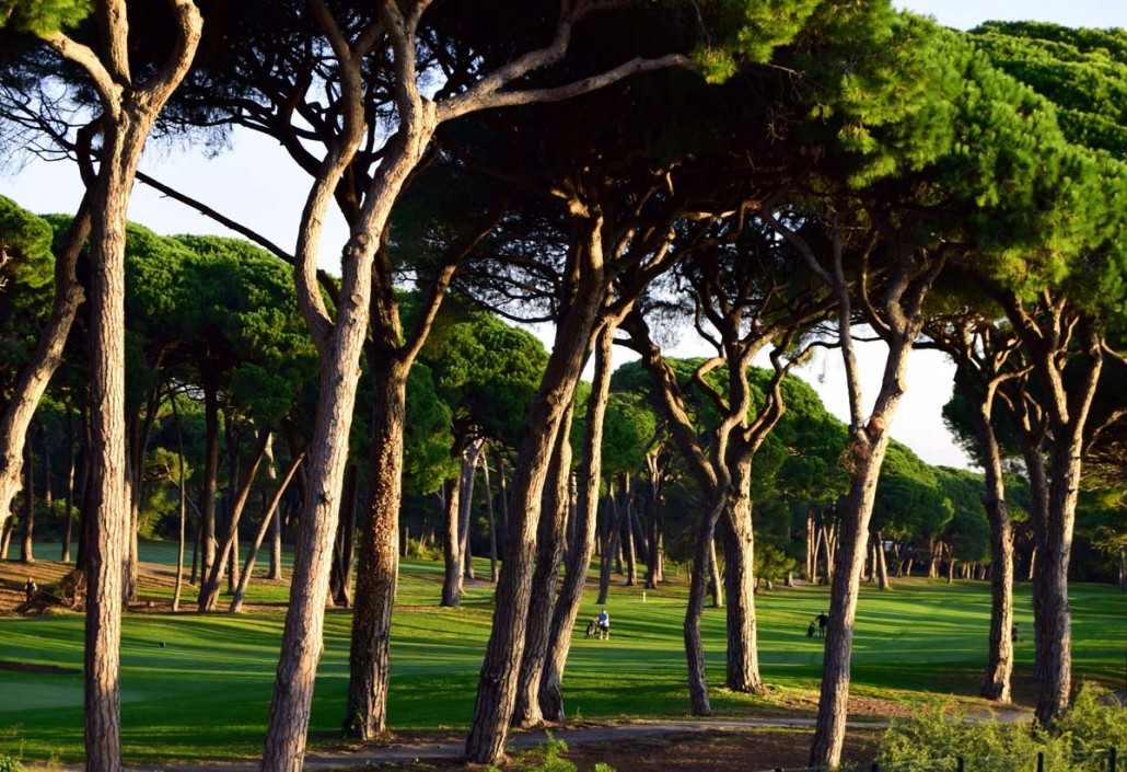Mimozas Resort in Cannes