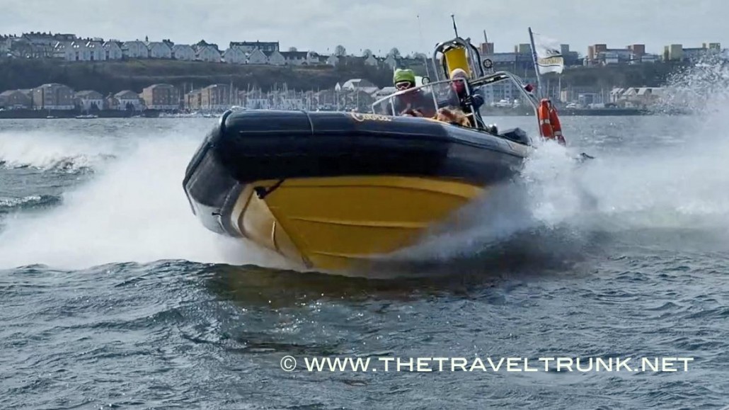 Cardiff Sea Safaris