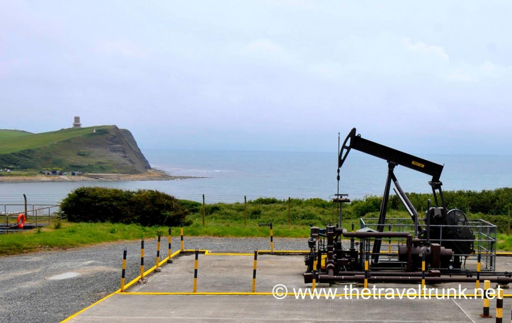 Kimmeridge Bay
