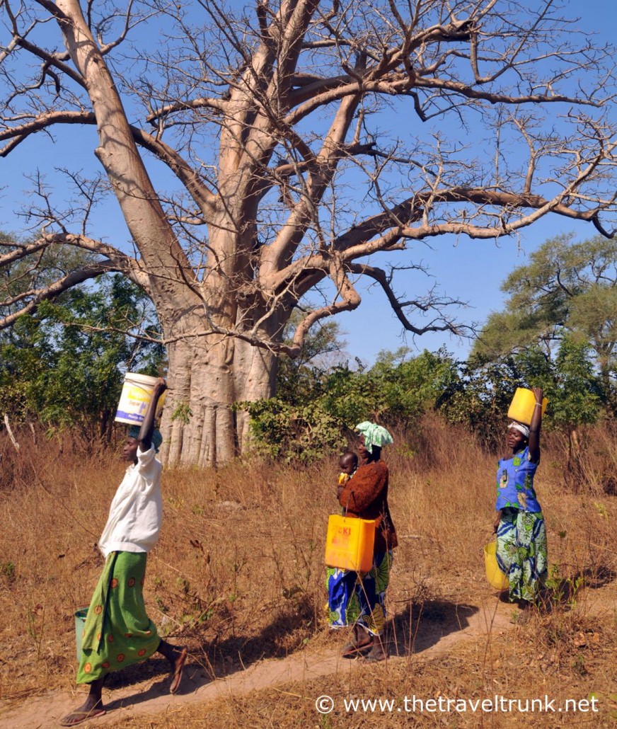 The Gambia West Africa.