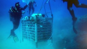 Under water wine.
