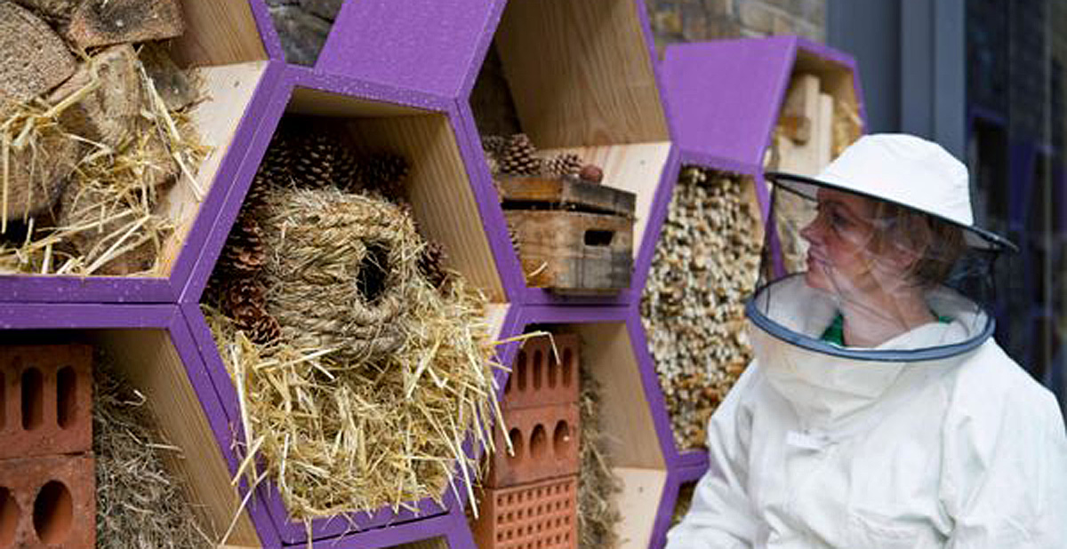 Urban Bee Keeping