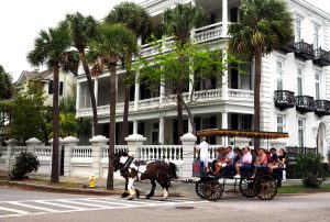Charleston hospitality by horse