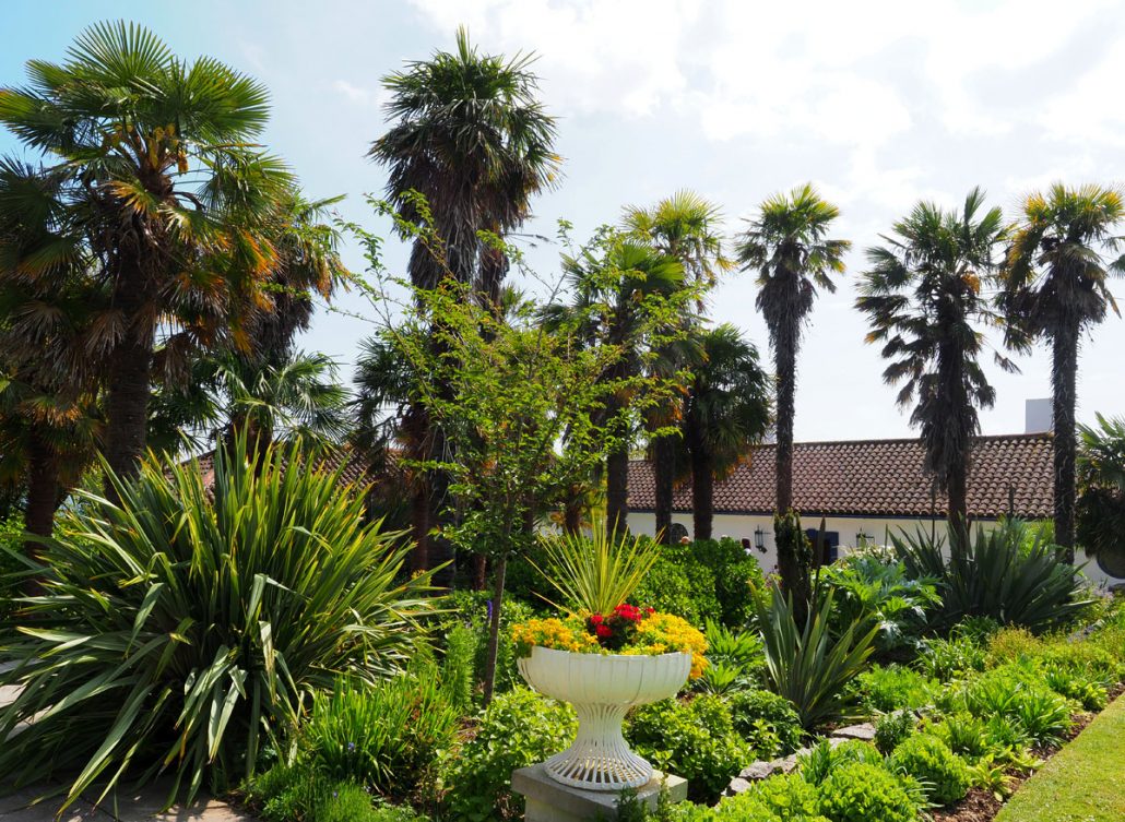 Palms at Portland House