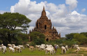 Bagan Temple