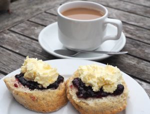 Cream tea