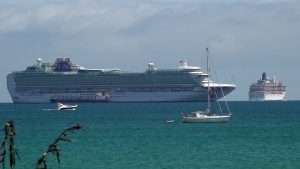 Covid cruise exprience