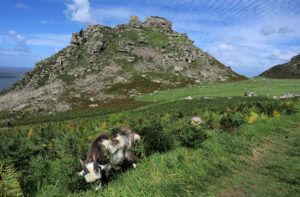 Valley of the Rocks