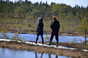 wetlands of Soomaa National Park
