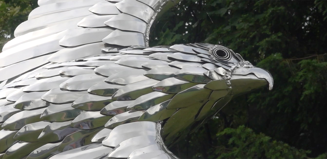 Falcon In Stainless Steel