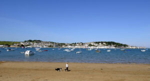 Dog Friendly Dorset and Devon